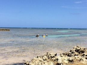 Praia de Barra Grande - Maragogi